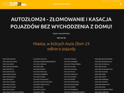 Co zawiera katalizator wewnątrz: skład i budowa